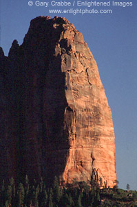 Red rock spire cliff at sunset, Kplob Canyon, Zion National Park, Utah