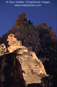 Sunset light on red rock cliffs on the rim above Zion Canyon, Zion National Park, Utah