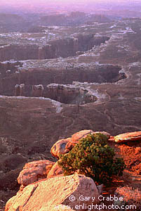 Looking down into canyons at sunrise from Island in the Sky, Canyonlands National Park, Utah