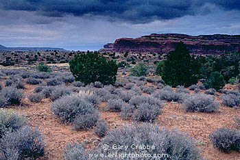 Storm clouds in evening over the high plateau of Canyonlands National Park, Utah