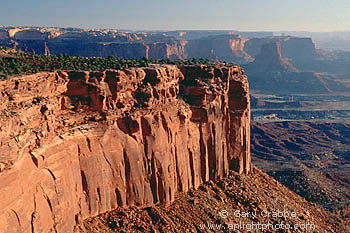 Red rock cliffs in morning light, Canyonlands National Park, Utah