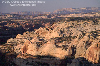 Overlooking Calf Creek Canyon, Grand Staircase - Escalante National Monument, Utah