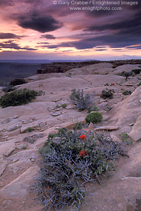 Picture: Stormy sunset from atop a high desert mesa, Muley Point Overlook, Glen Canyon NRA, Utah