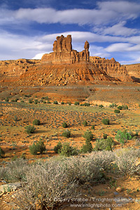 Picture: Red rock mesa and butte and desert flora in spring, Valley of the Gods, Utah