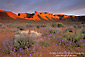 Picture: Sunrise light on red rock mesa over desert wildflowers bloom in spring, Valley of the Gods, Utah
