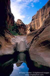 Image: Water in narrow canyon, Red Cliffs Recreation Area, near St. George, Utah's Dixie, Utah