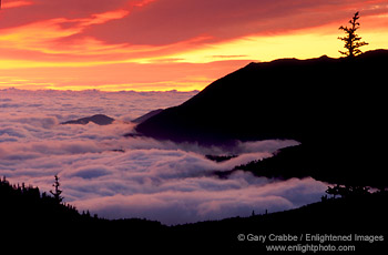 Fog bank beneath storm clouds at sunrise from Hurricane Ridge, Olympic National Park, near Port Townsend, Washington