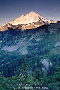 Sunrise light on the snow covered glacier of Mount Baker volcano, Mount Baker National Recreation Area, Cascade Range, Washington