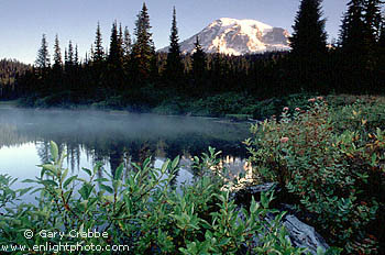 Mount Rainier volcano and alpine lake, Mount Rainier National Park, Cascasde Mountain Range, Washington