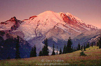 Sunrise light on glacier covered Mount Rainier Volcano, Mount Rainier National Park, Cascade Mountain Range, Washington