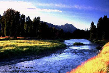 Side canal of the Snake River, Grand Teton National Park, Wyoming