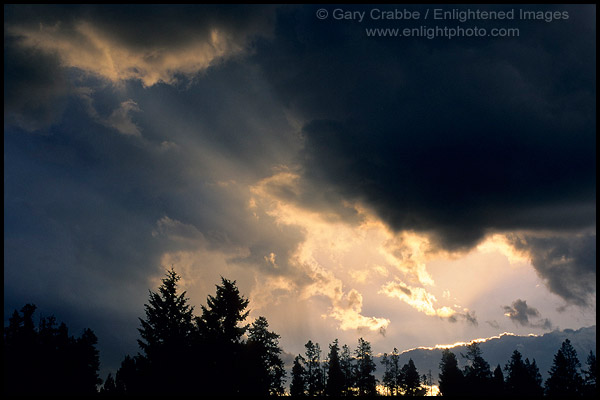 Photo: Sunbeams at sunrise through hole in dark storm clouds over trees, Grand Teton National Park, Wyoming