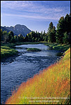 Picture: Side channel flow of the Snake River below Mt. Moran at sunset, Grand Teton Nat'l. Pk., WYOMING 