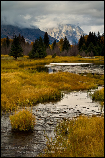 Photo: Pond and stream in meadow at Grand Teton National Park, Wyoming