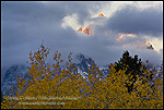 Storm clouds shroud mountain peak at sunrise, Grand Teton National Park, Wyoming