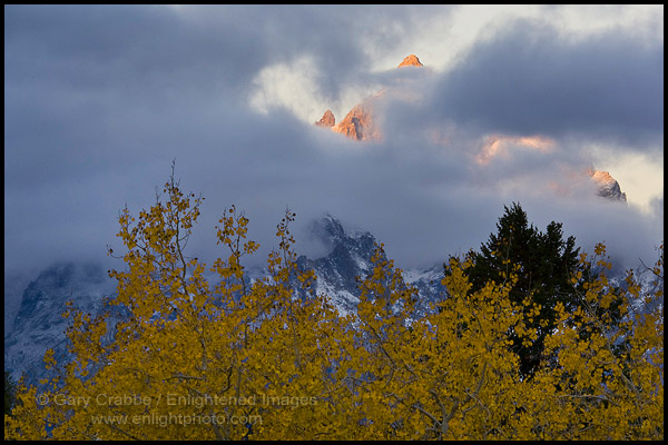 Autumn storm clouds shroud mountain peak at sunrise, Grand Teton National Park, Wyoming