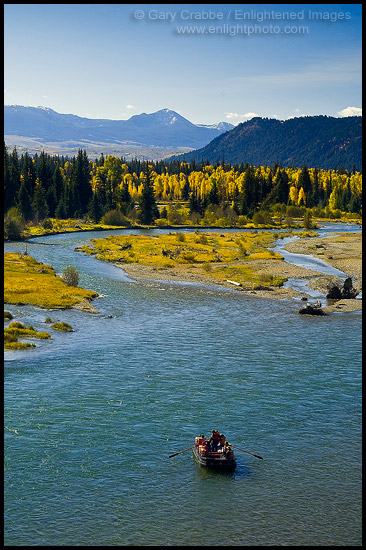 Photo: Fall colors on aspen and cottonwood trees along the Snake River, Grand Teton National Park, Wyoming