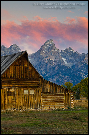 Photo: Pink clouds at dawn over mountains, old wooden barn, and trees in Fall, Grand Teton National Park, Wyoming