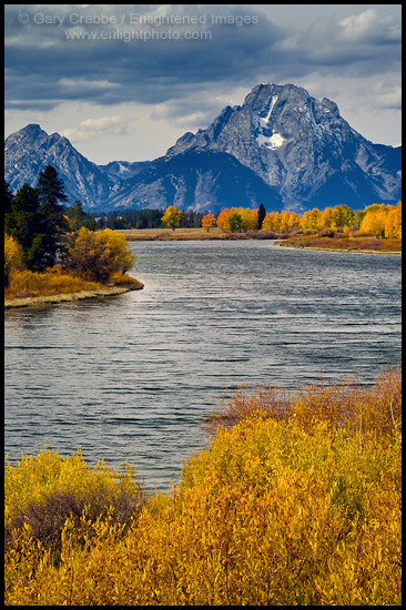 Photo: Fall colors along the Snake River at Oxbow Bend, below Mount Moran, Grand Teton National Park, Wyoming