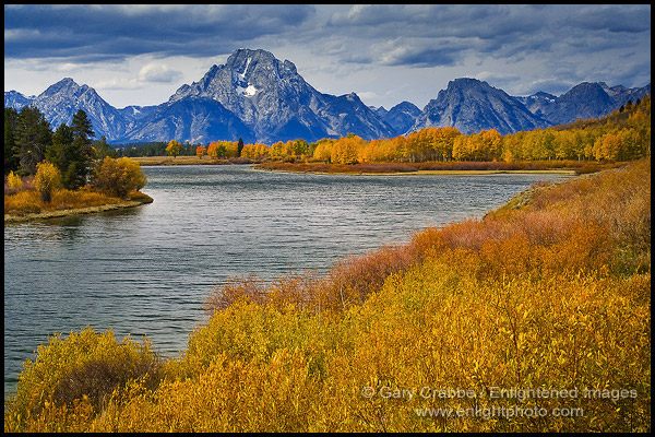 Fall colors along the Snake River at Oxbow Bend, below Mount Moran, Grand Teton National Park, Wyoming