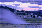 Photo: Steam venting from hot spring in evening at Biscuit Basin, Yellowstone National Park, WYOMING
