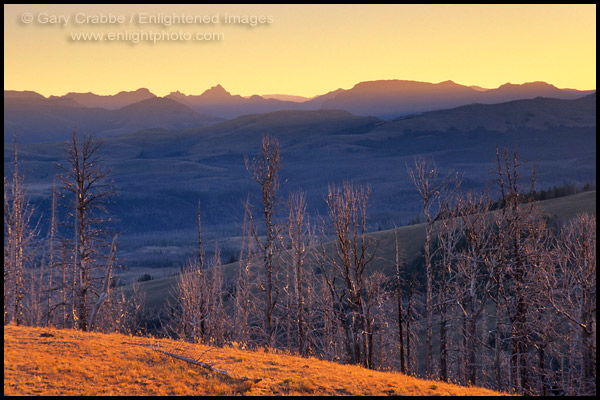 Photo: Sunrise over the Lamar Valley area from Mount Washburn, Yellowstone National Park, Wyoming