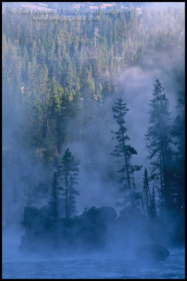 Photo: Misty Fall morning along the Yellowstone River, Canyon Region, Yellowstone National Park, Wyoming