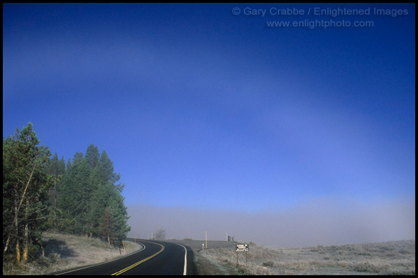 Photo: White Rainbow in Hayden Valley, Yellowstone National Park, Wyoming