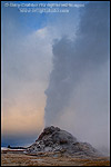 Photo: Steam venting during eruption of White Dome Geyser on a stormy autumn morning, Yellowstone National Park, Wyoming