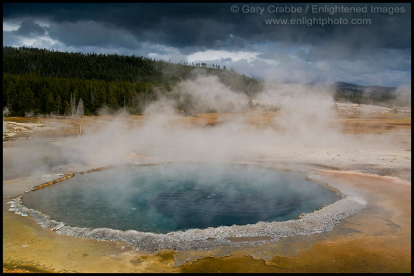 Photo: Geothermal steam and water venting out of Crested Pool, Upper Geyser Basin, Yellowstone National Park, Wyoming