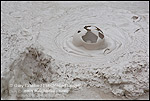 Photo: Mud bubble bursting in one of the Artists Paintpots, near Norris, Yellowstone National Park, Wyoming