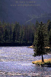 Afternoon over the Madison River, Yellowstone National Park, Wyoming