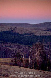 Pre-dawn Light over burnt forest from Mount Washburn, Yellowstone National Park, Wyoming