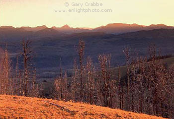 Sunrise over burnt forest above the Lamar Valley, from Mount Washburn, Yellowstone National Park, Wyoming