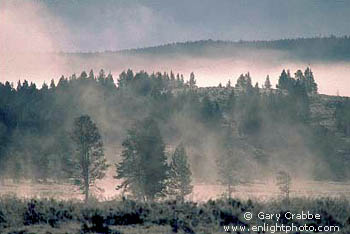 Ice fog on a fall morning over Hayden Valley, Yellowstone National Park, Wyoming